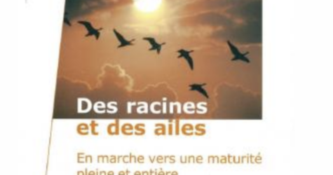 Groupe de maison à Noirmoutier